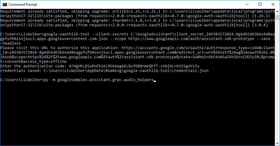Captura de pantalla del comando escrito en el símbolo del sistema para probar el Asistente de Google