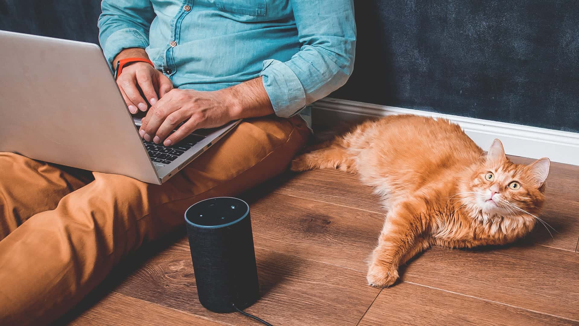 A man using an Amazon Echo next to a cat